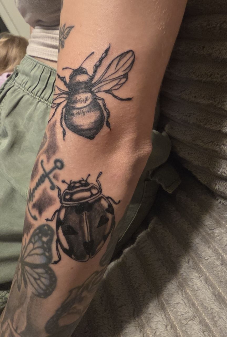 Bee and ladybug — full composition